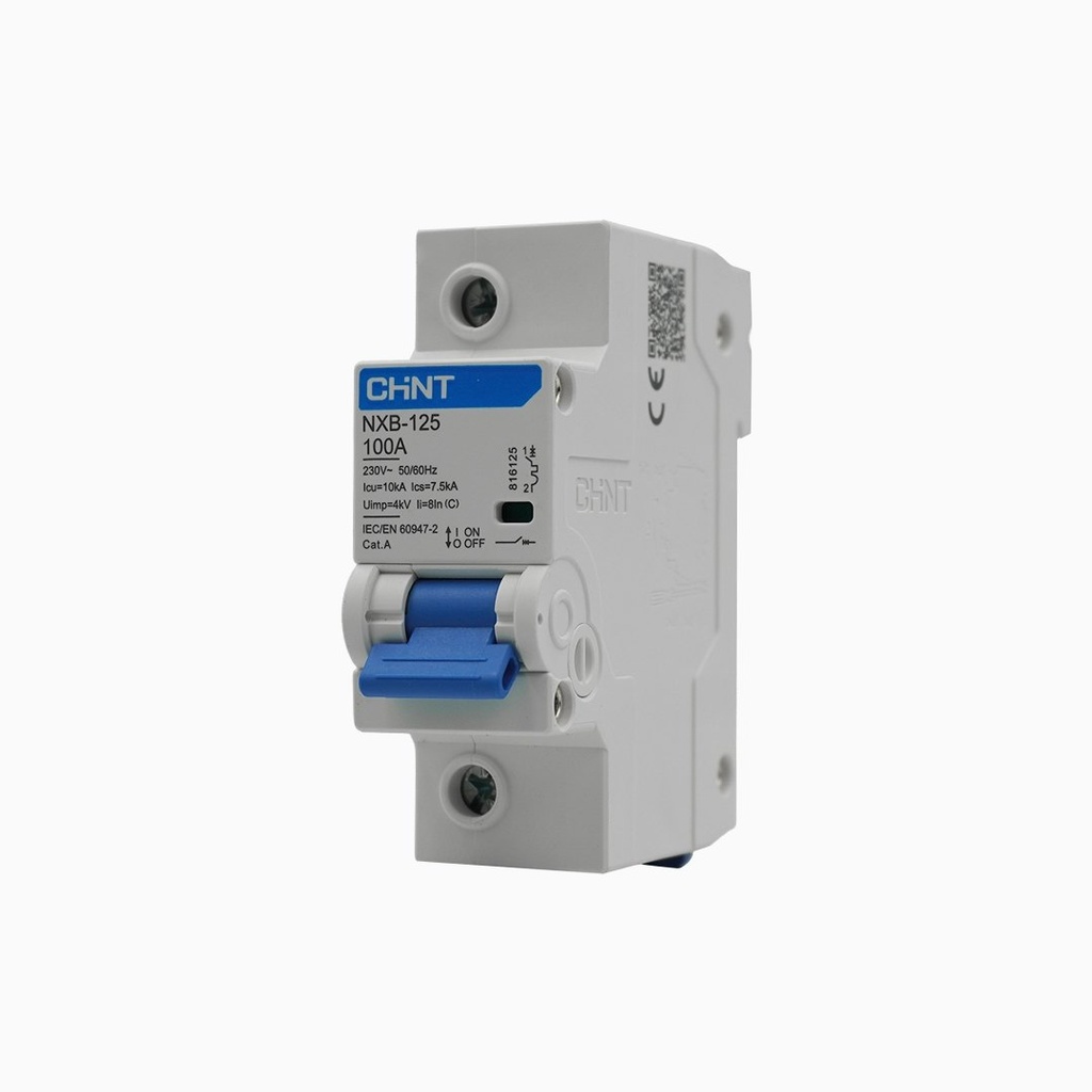 Interruptor automático 1P 100A curva C 10kA riel DIN NXB-125H - Chint