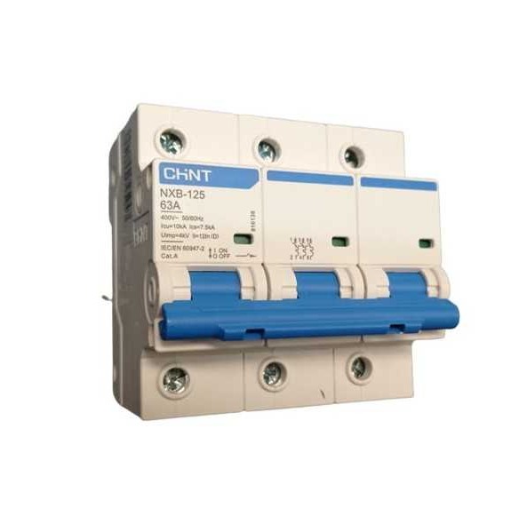 [070313100CH] Interruptor 3Px100A 10kA curva C, NXB-125H