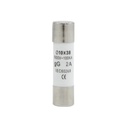 Fusible GG RO15 10X38 2A - Cirkon Electric